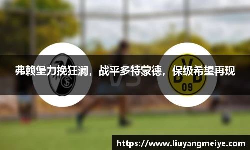 谈球吧